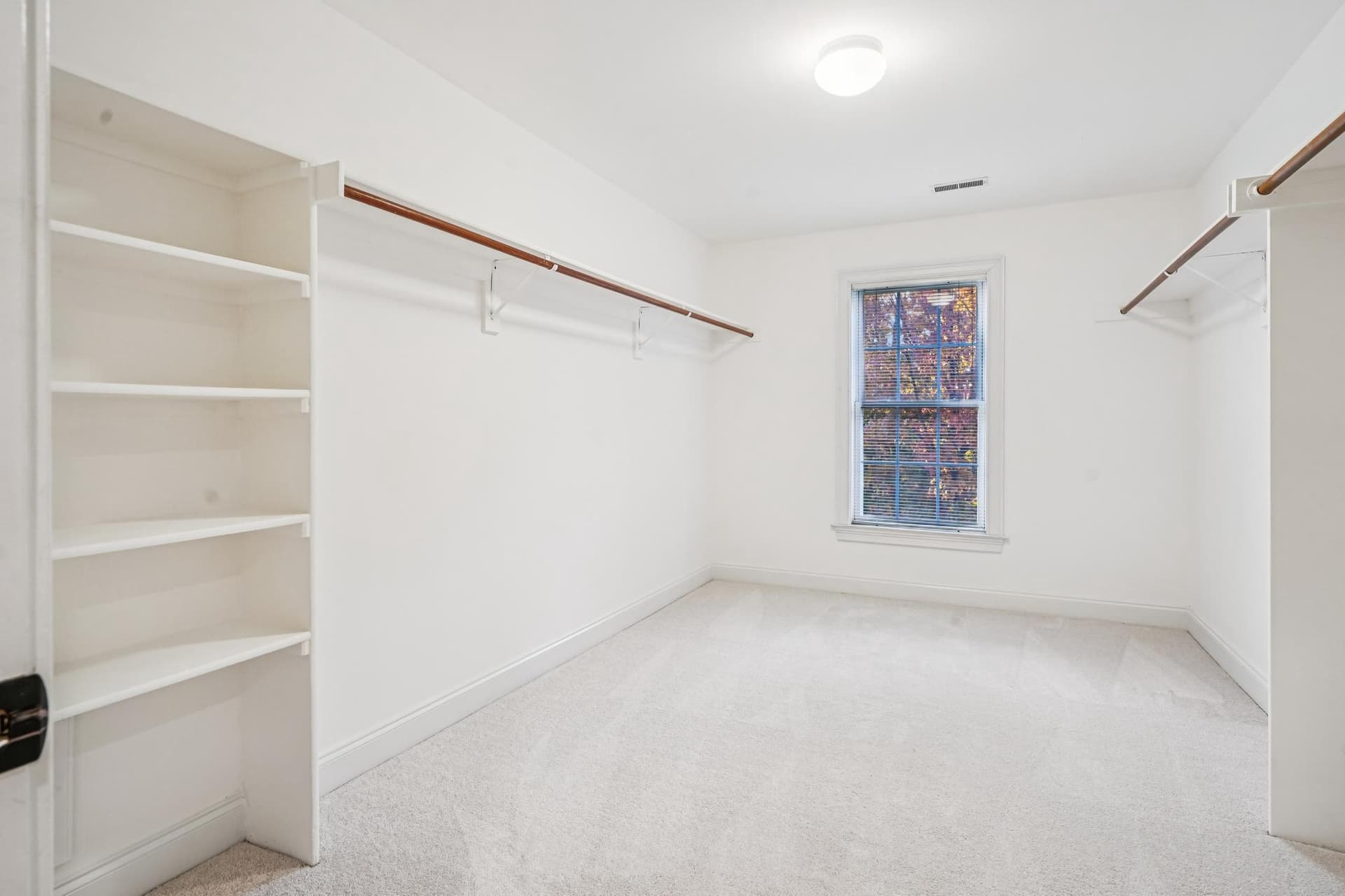 11033 Daybreak Ct photo 11