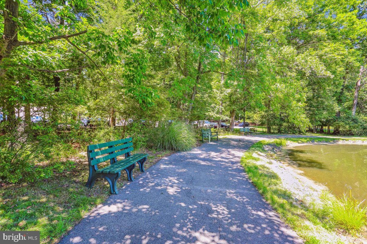 15101 Interlachen Drive #1-614 photo 40