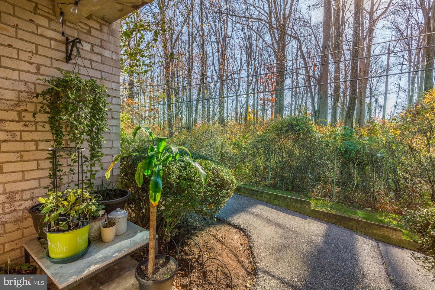 5202 Crossfield Court #117 photo 36