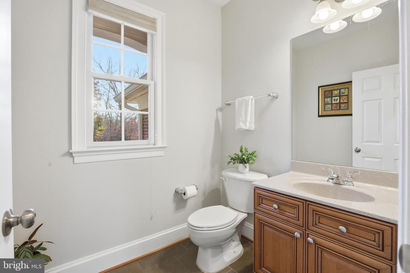 7931 Lakenheath Way photo 39
