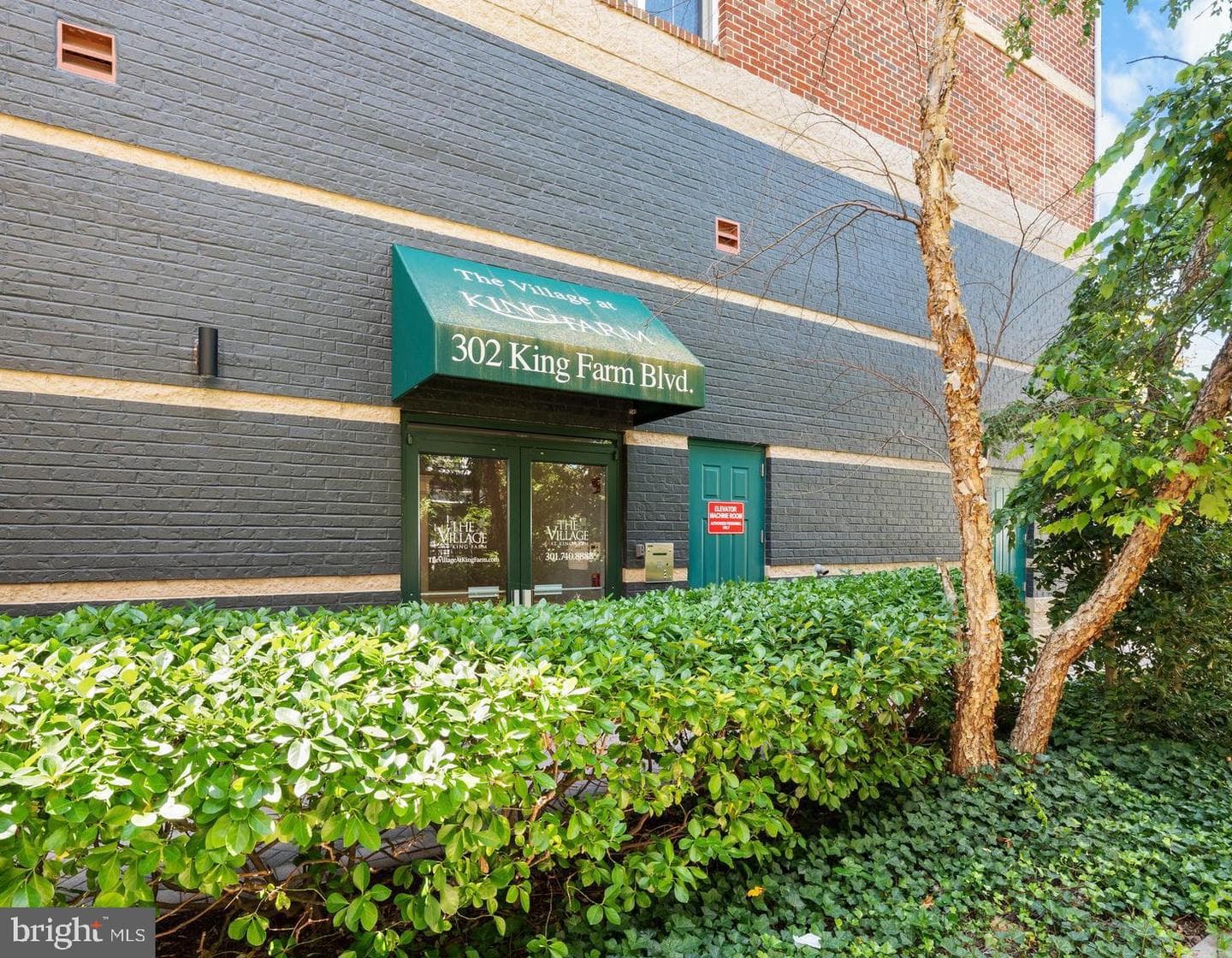 302 King Farm Boulevard #30208 photo 3