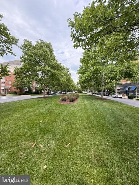302 King Farm Boulevard #30208 photo 40
