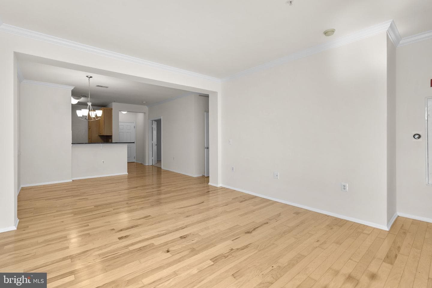 11800 Old Georgetown #1315 photo 9