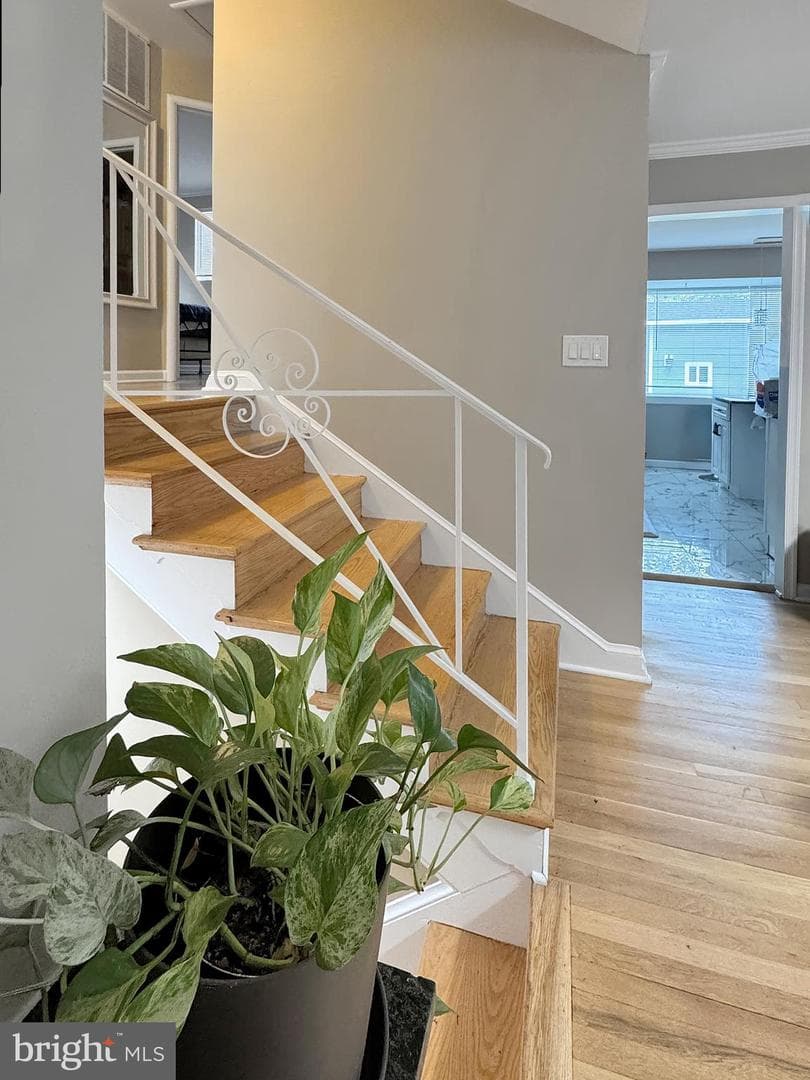 2408 Lillian Drive photo 23