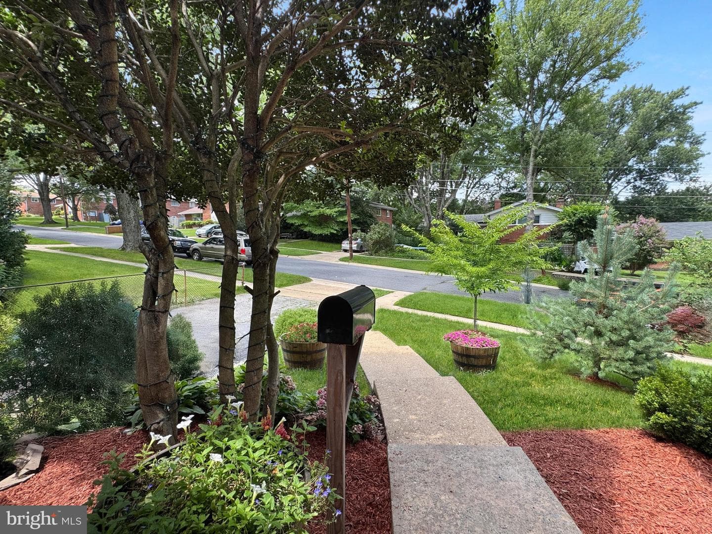 2408 Lillian Drive photo 3