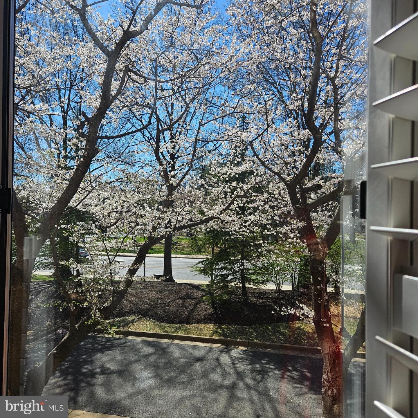 5809 Nicholson Lane #13 photo 23