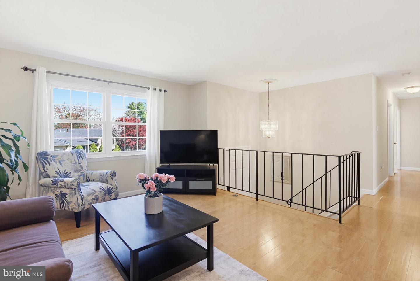 8640 Sedley Court photo 6