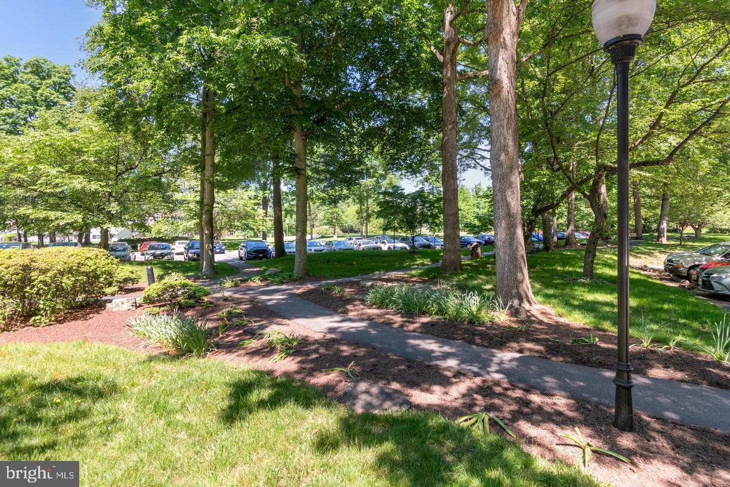 15107 Interlachen Drive #2-815 photo 15