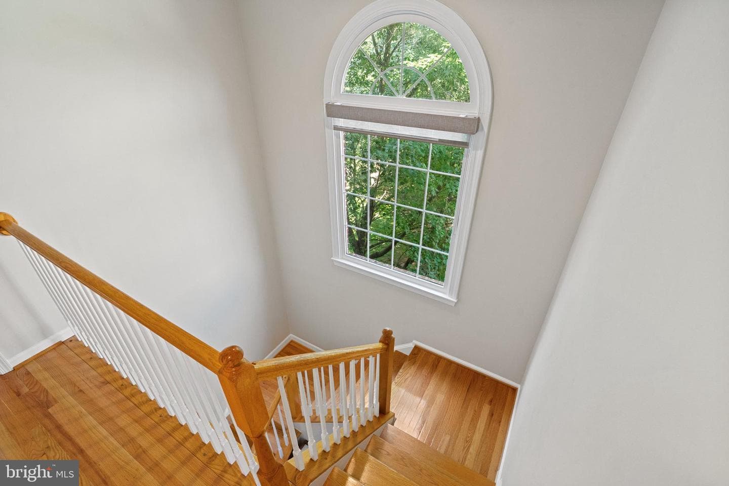 8512 Bells Ridge Terrace photo 18