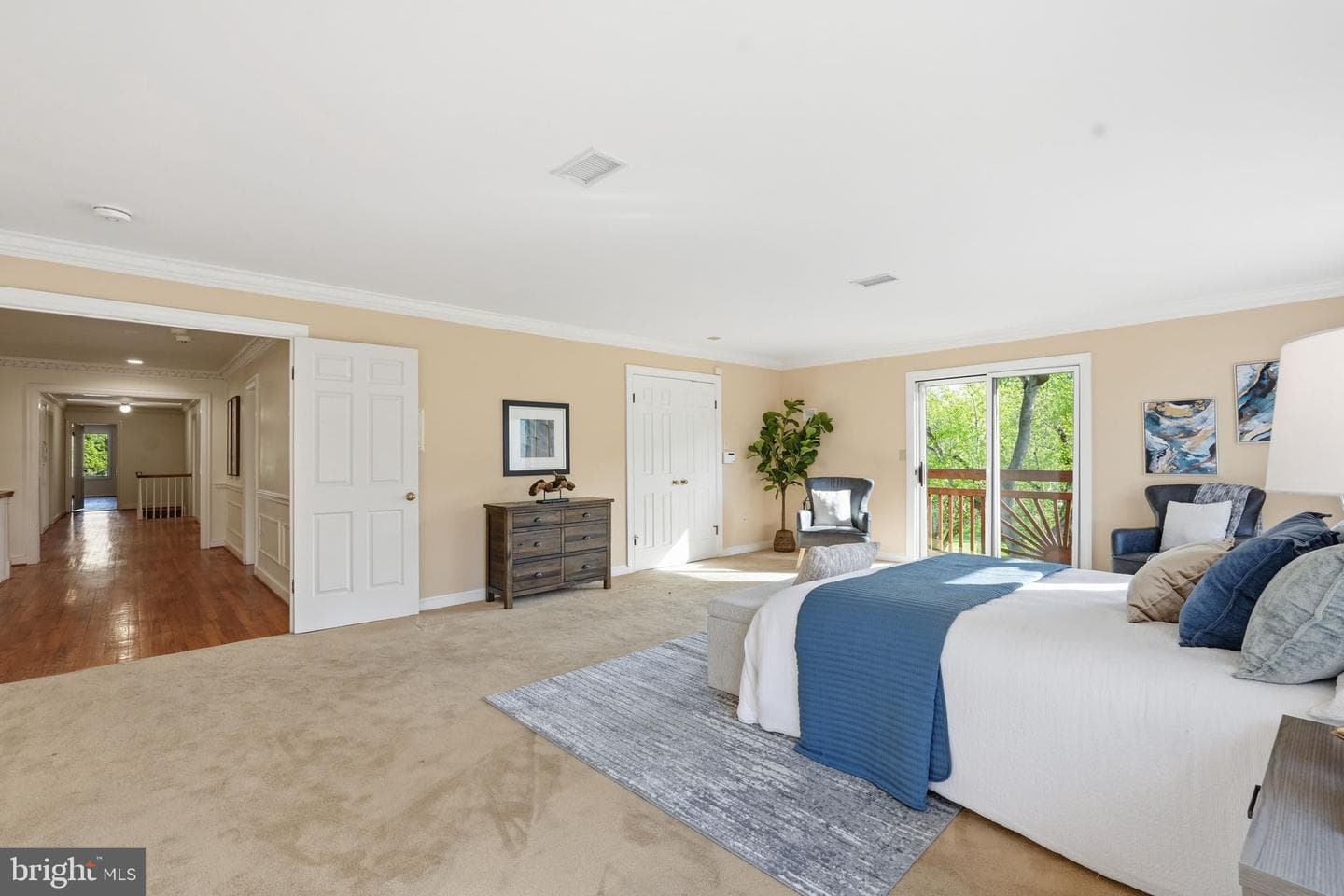 10517 Alloway Drive photo 38