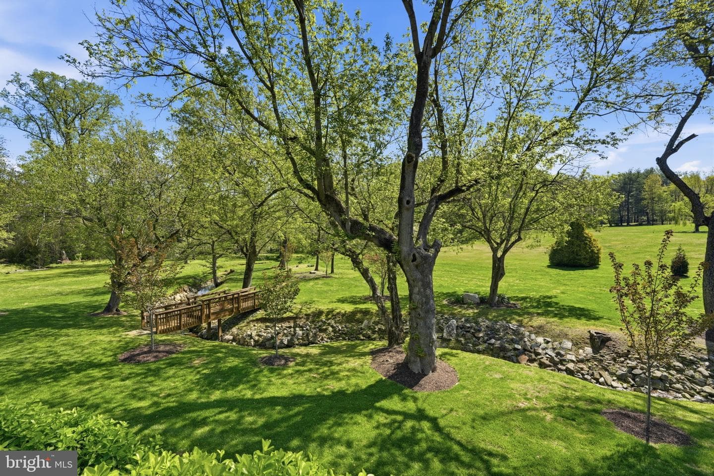 10517 Alloway Drive photo 5