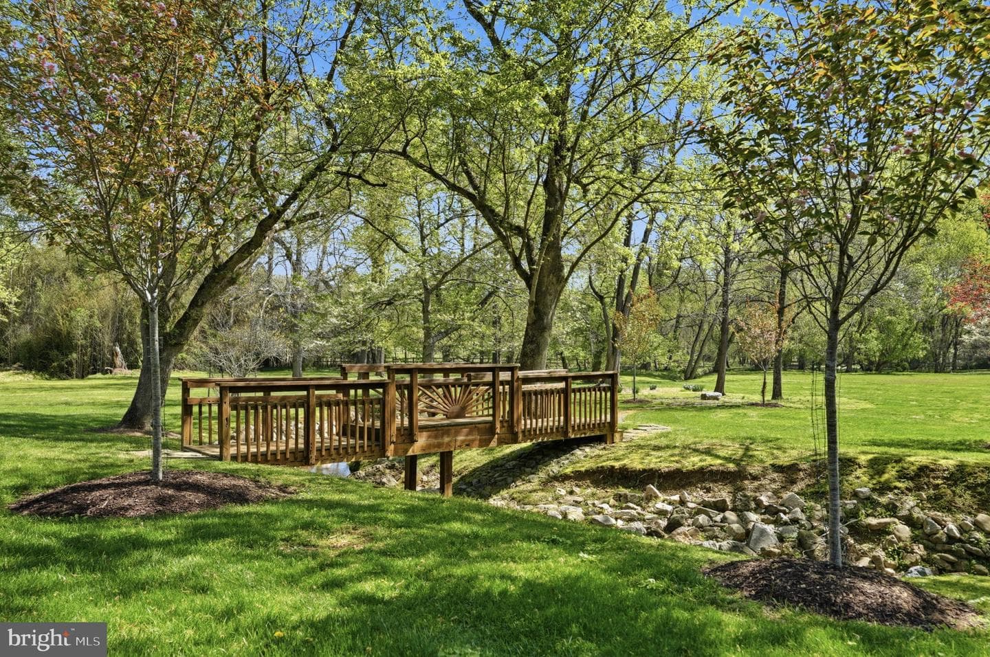 10517 Alloway Drive photo 6