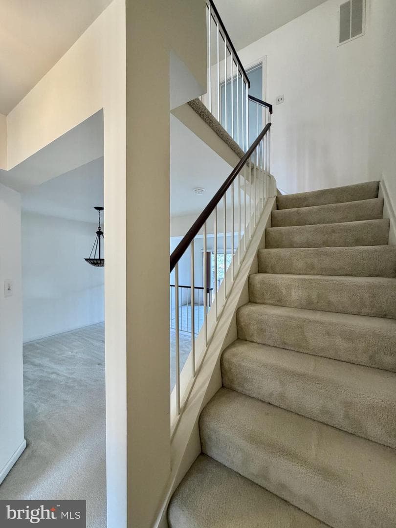 3824 Swan House Court photo 11