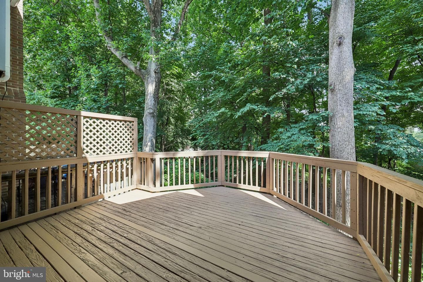 2062 Derby Ridge Lane #3-16 photo 46