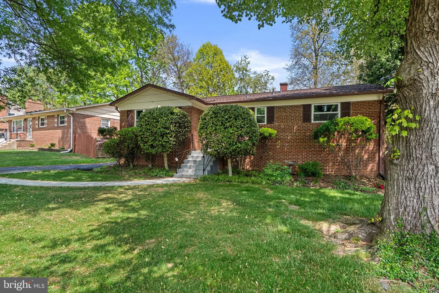 4207 Frankfort Drive photo 3