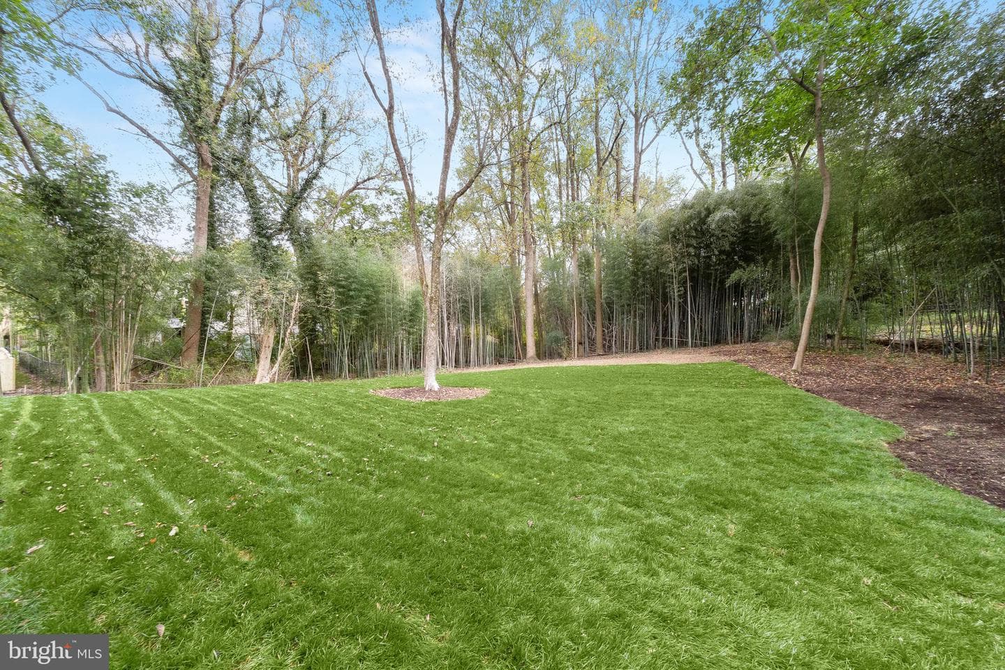 10220 Capitol View Avenue photo 59