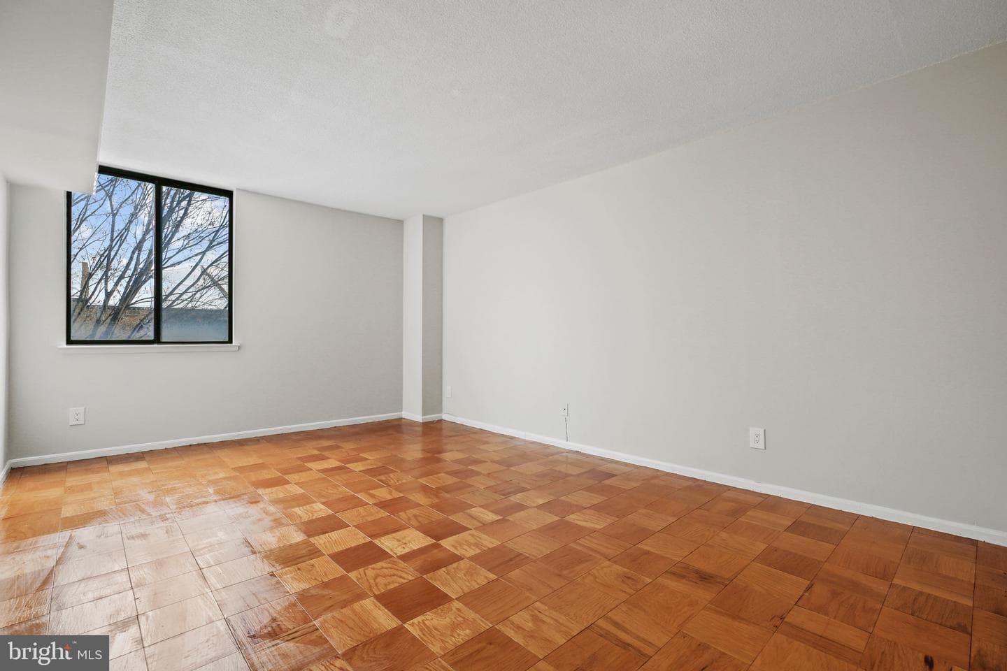 4 Monroe Street #304 photo 6