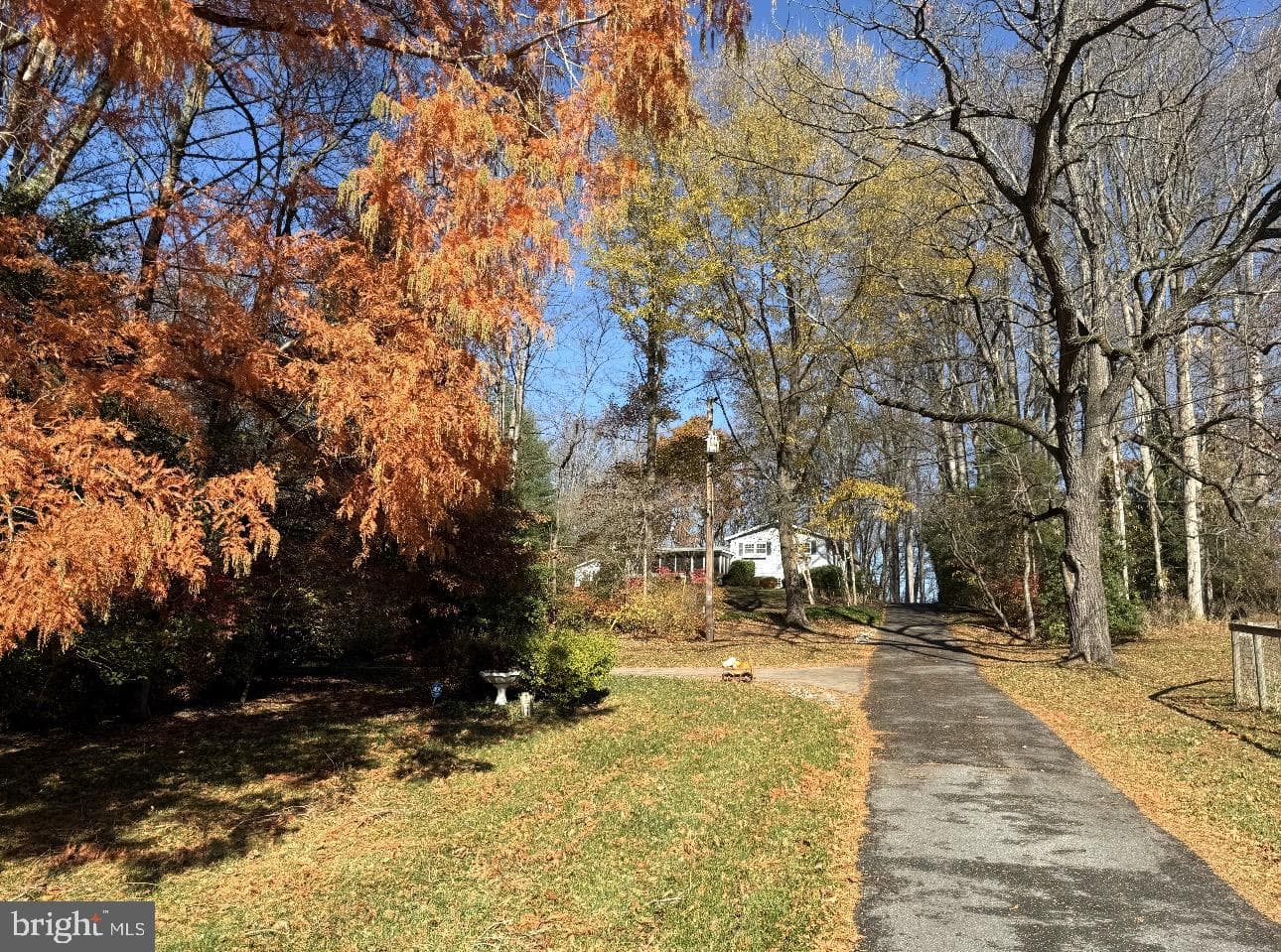 31 Haviland Mill Rd photo 39