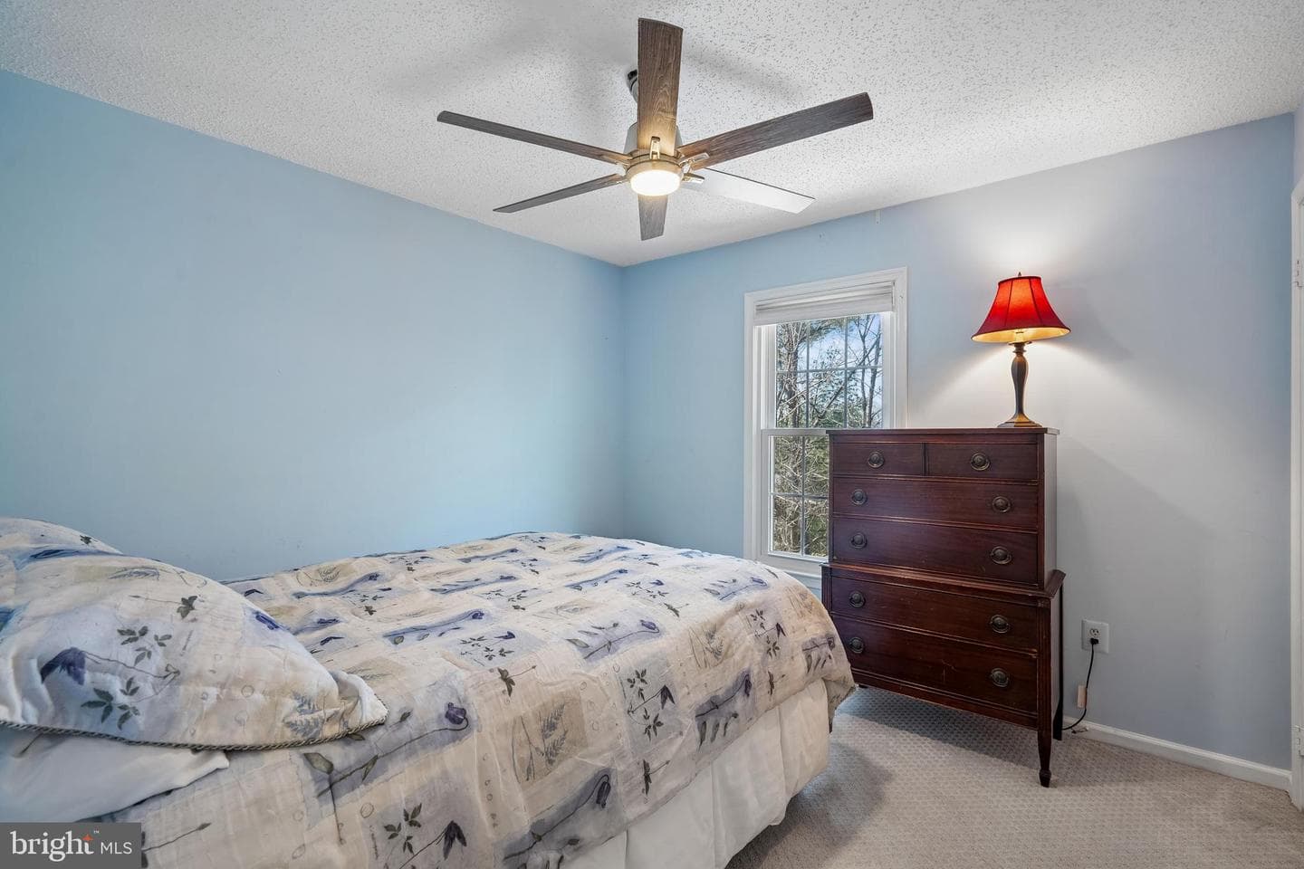 13525 Winding Trail Ct photo 28