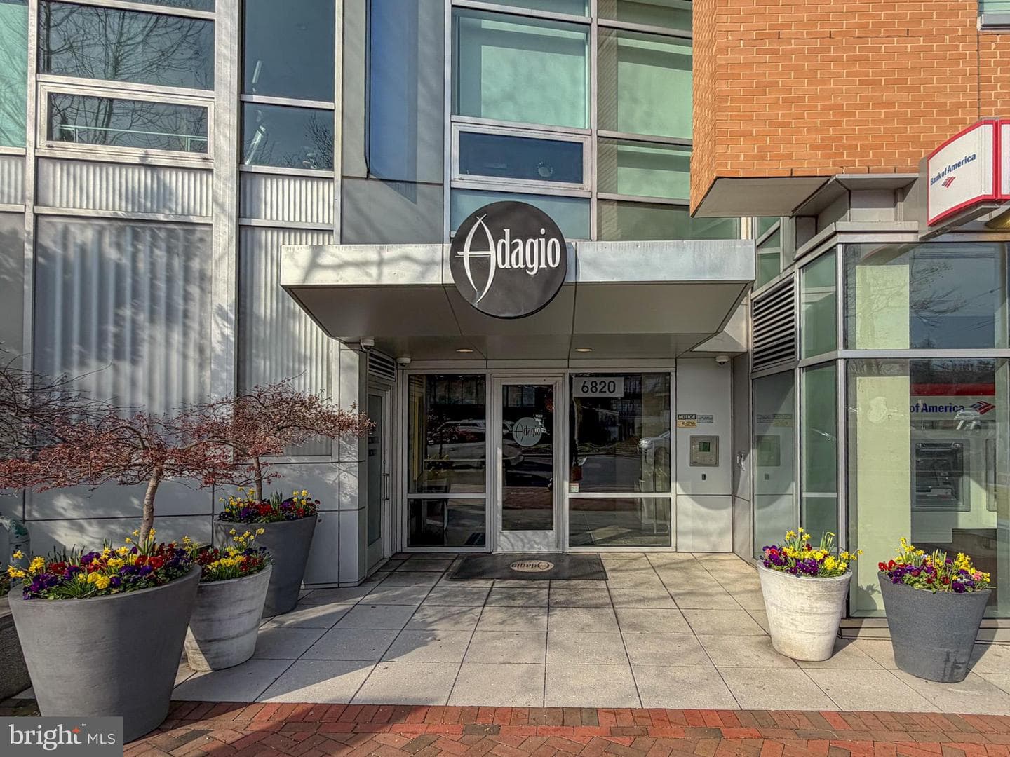 6820 Wisconsin Avenue #4008 photo 2
