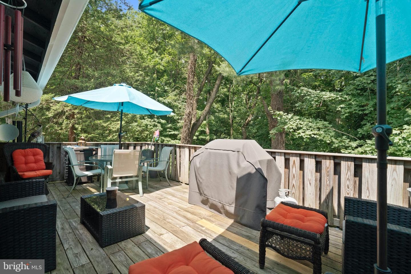 10832 Margate Road photo 31