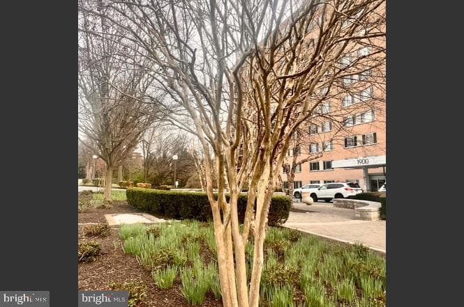 1900 Lyttonsville Road #717 photo 3