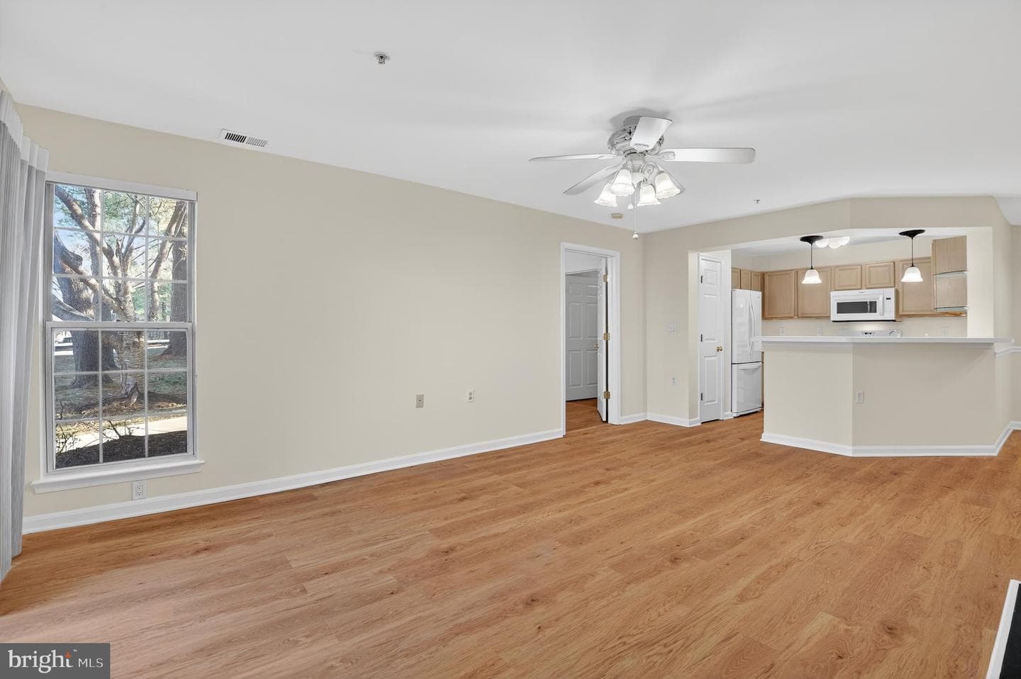 18101 Cloppers Mill Terrace photo 3