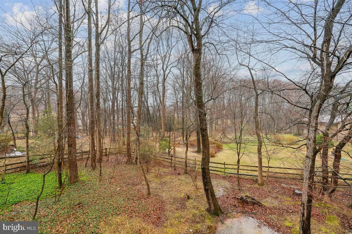 13724 Bridgewater Drive photo 93