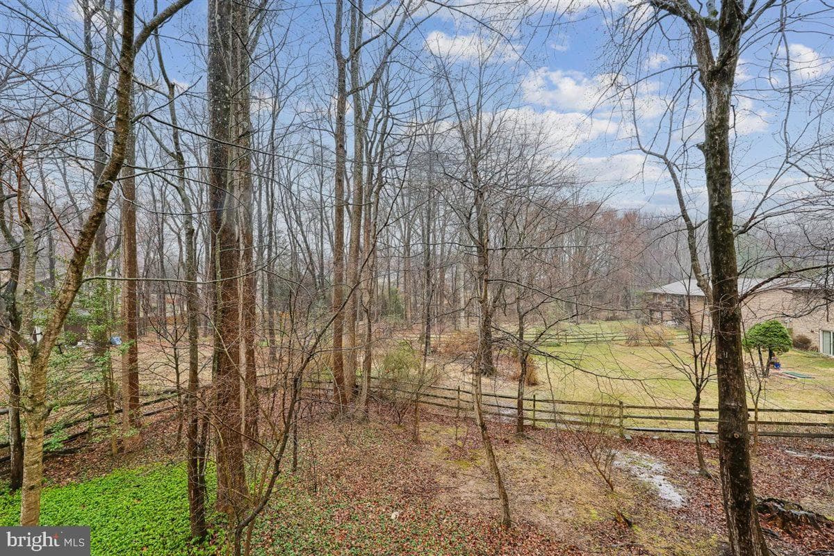 13724 Bridgewater Drive photo 97