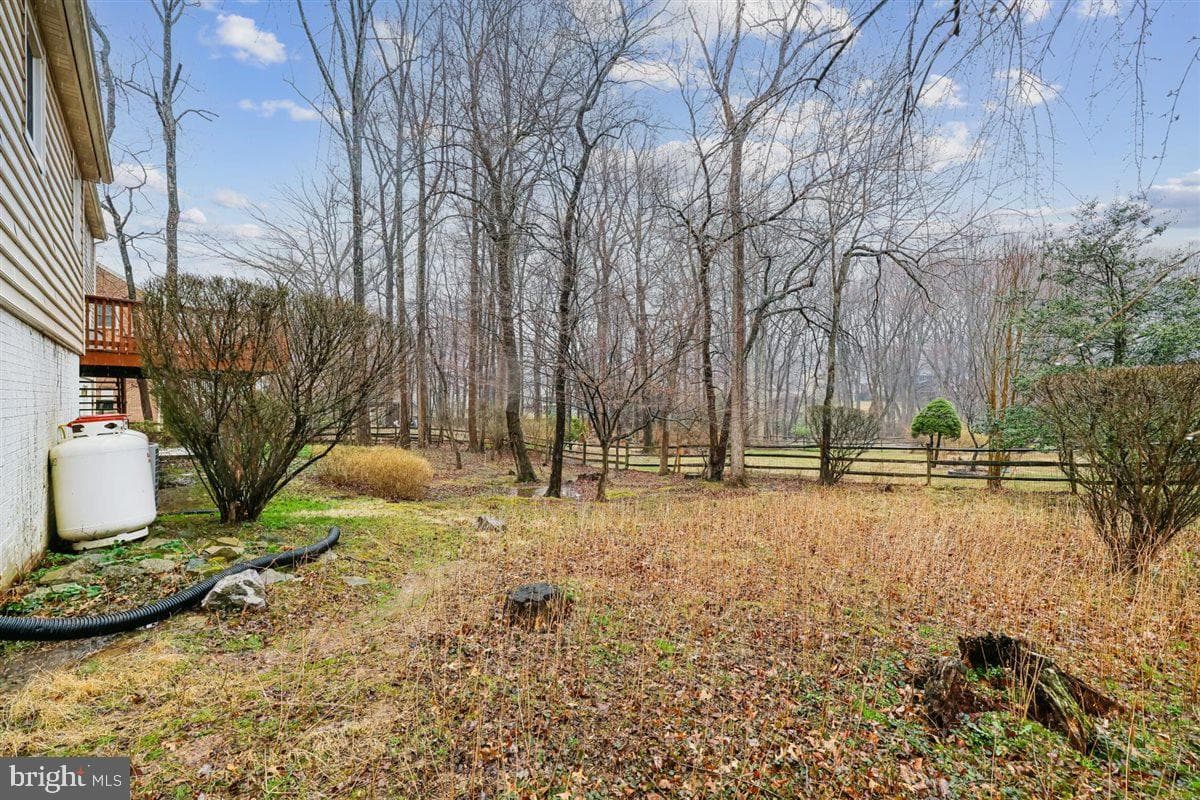 13724 Bridgewater Drive photo 98