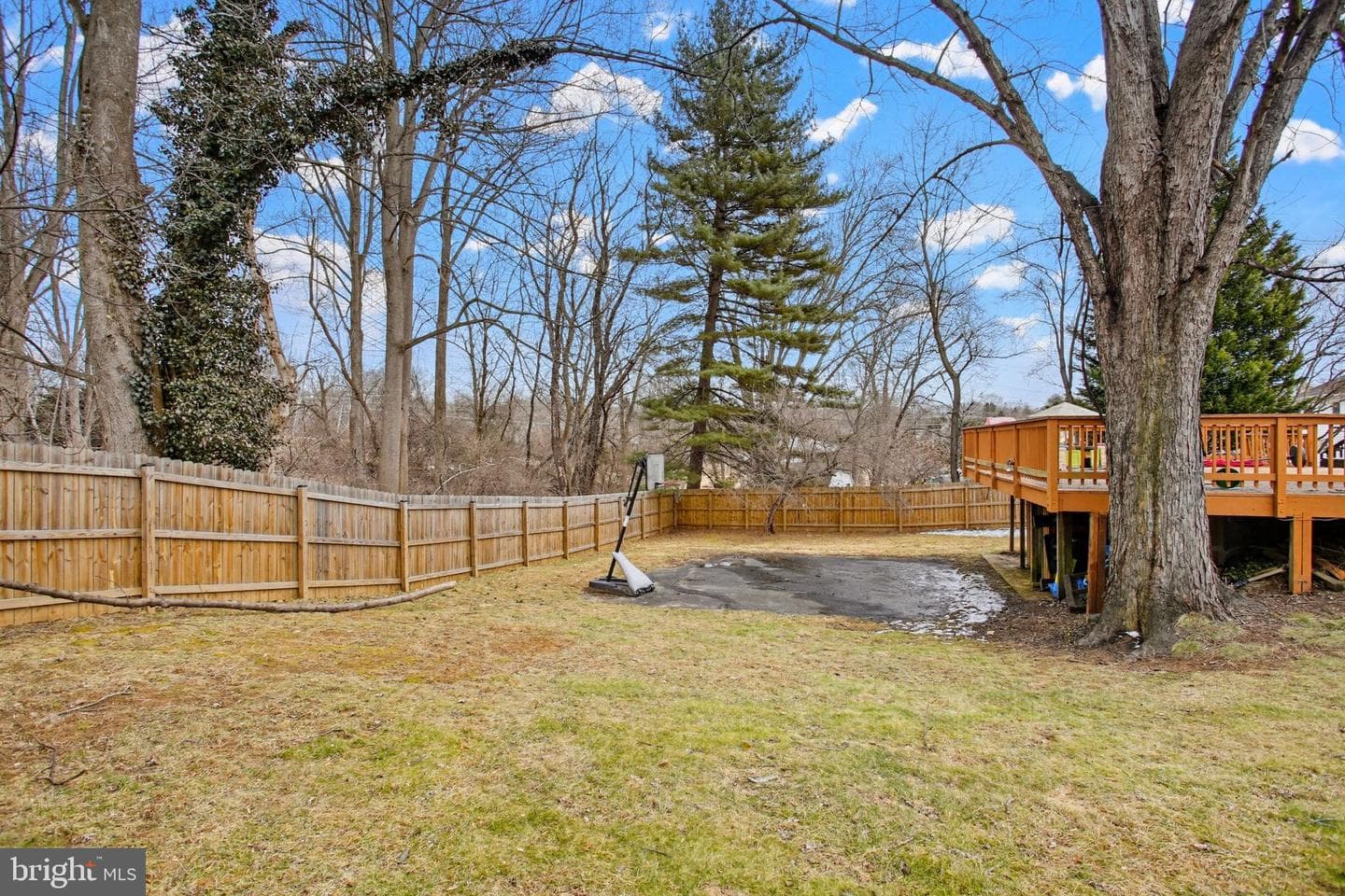 4517 Morningwood Drive photo 44