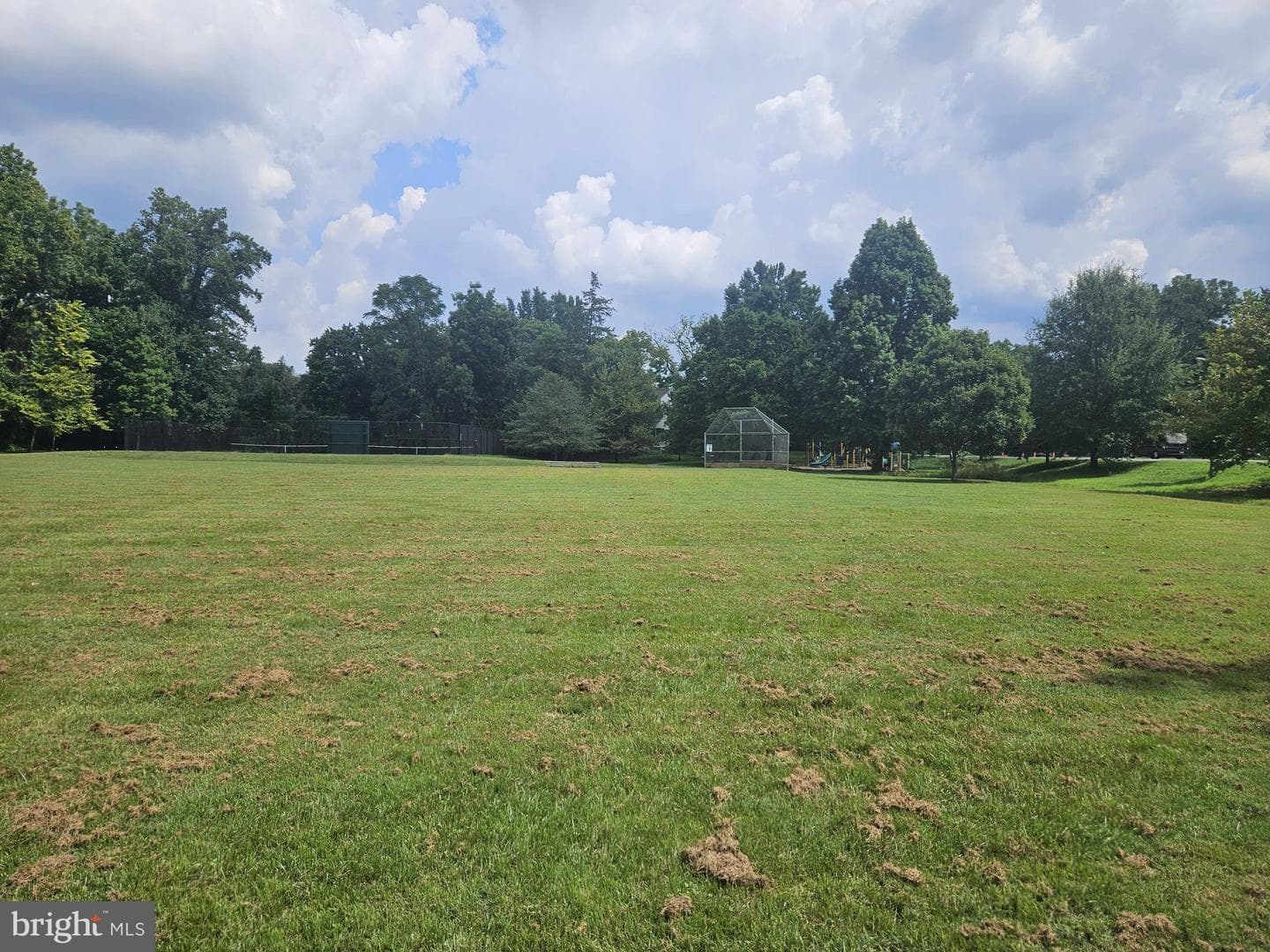 11315 Palisades Court photo 66