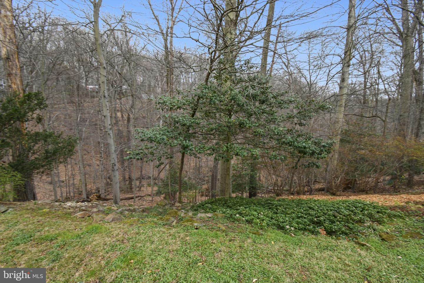 10605 Meadowhill Road photo 49