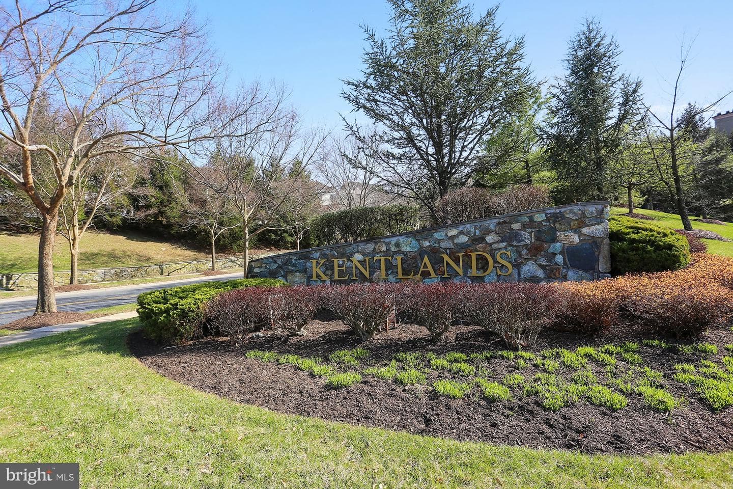 150 Chevy Chase Street #205 photo 36