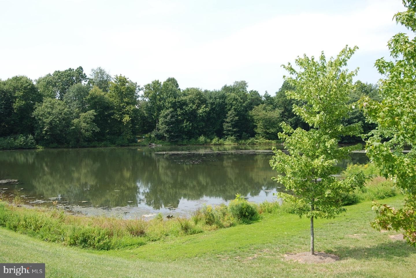 150 Chevy Chase Street #205 photo 37