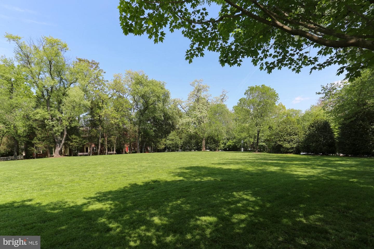 150 Chevy Chase Street #205 photo 43
