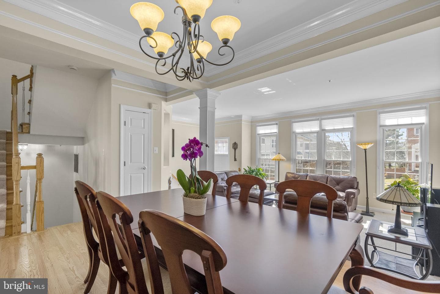 10407 Flowerfield Way photo 11