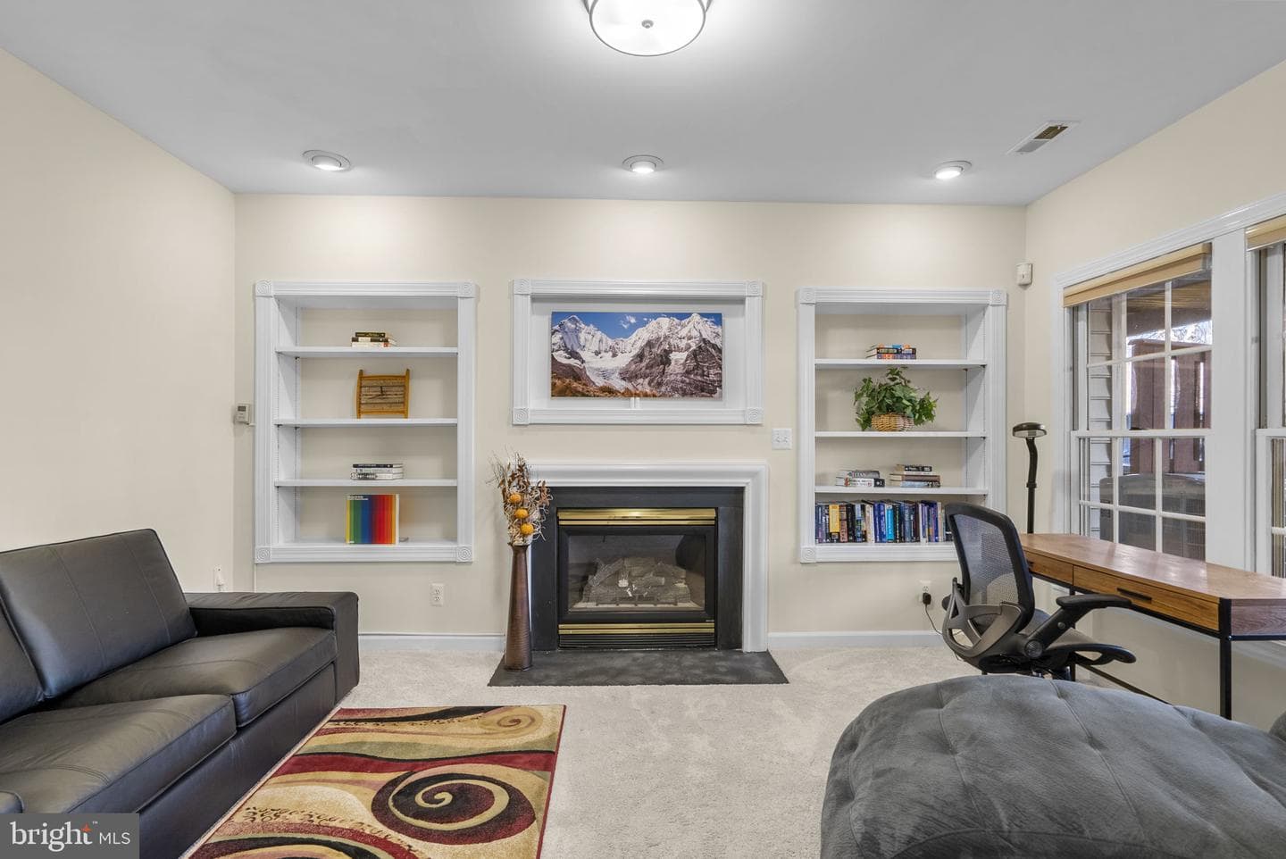 10407 Flowerfield Way photo 32