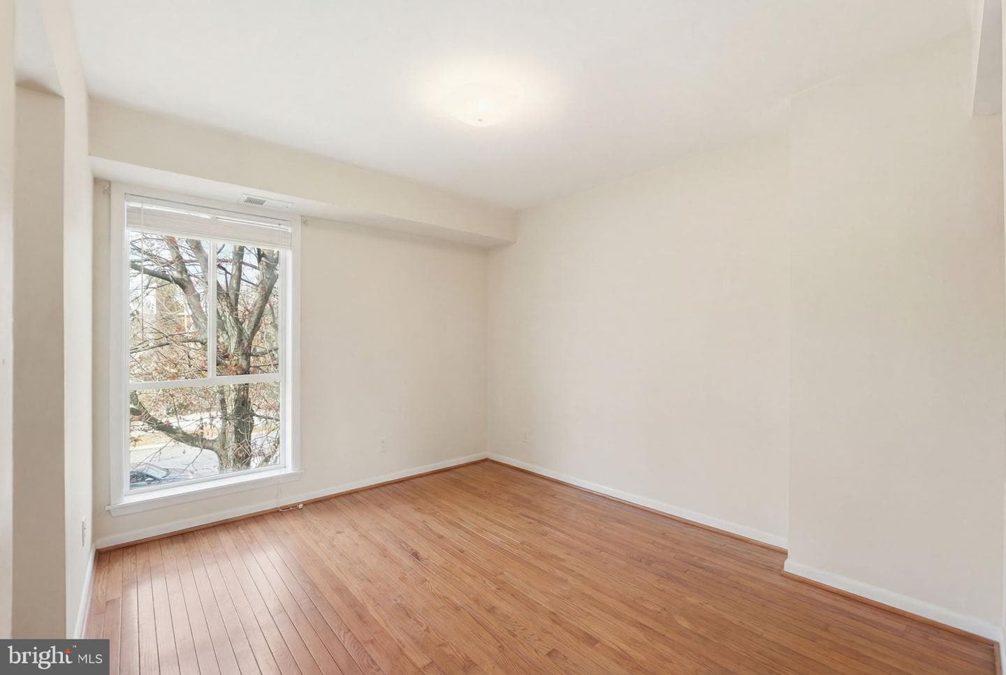 17805 Buehler Road #3 photo 13