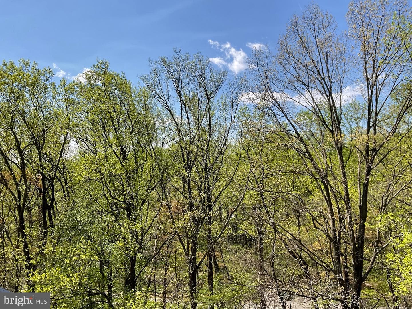 9039 Sligo Creek Parkway #606 photo 16