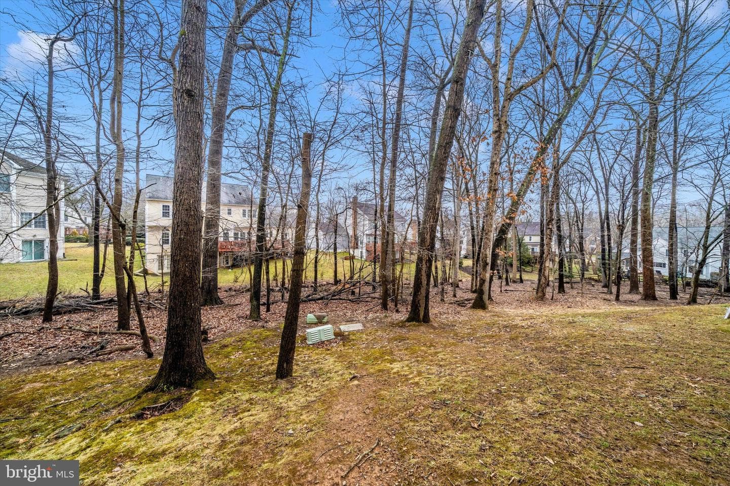 12312 Sweetbough Court #86 photo 37