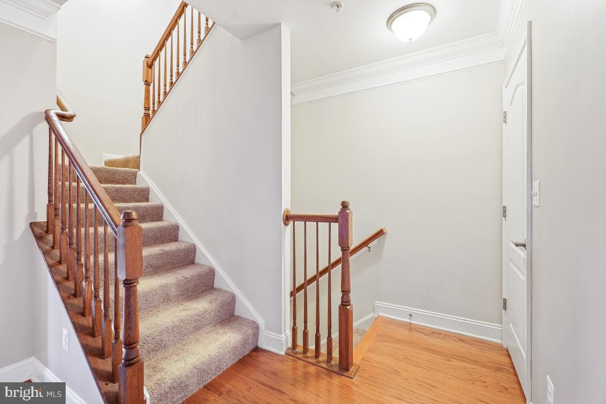 11842 Little Seneca Parkway photo 5