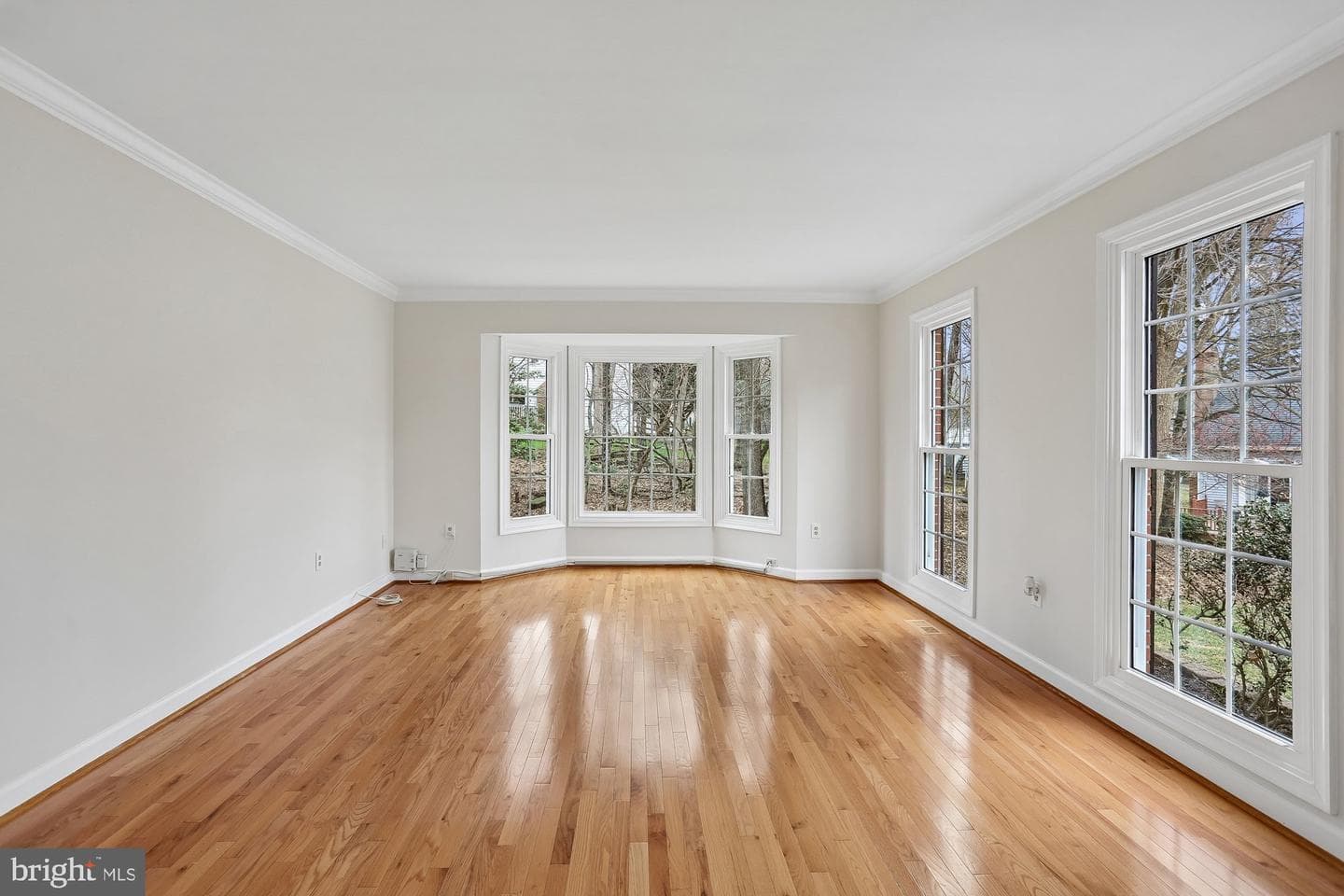 12206 Mcdonald Chapel Drive photo 10