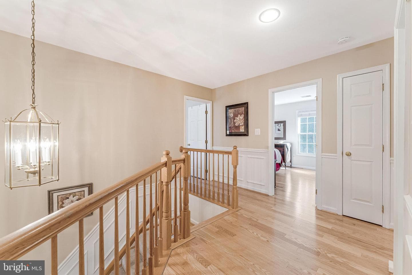 10005 Bald Cypress Drive photo 35