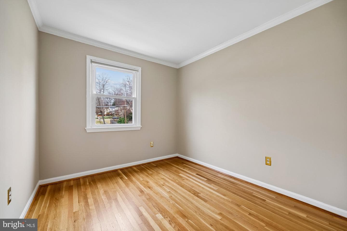 14311 Arctic Avenue photo 18