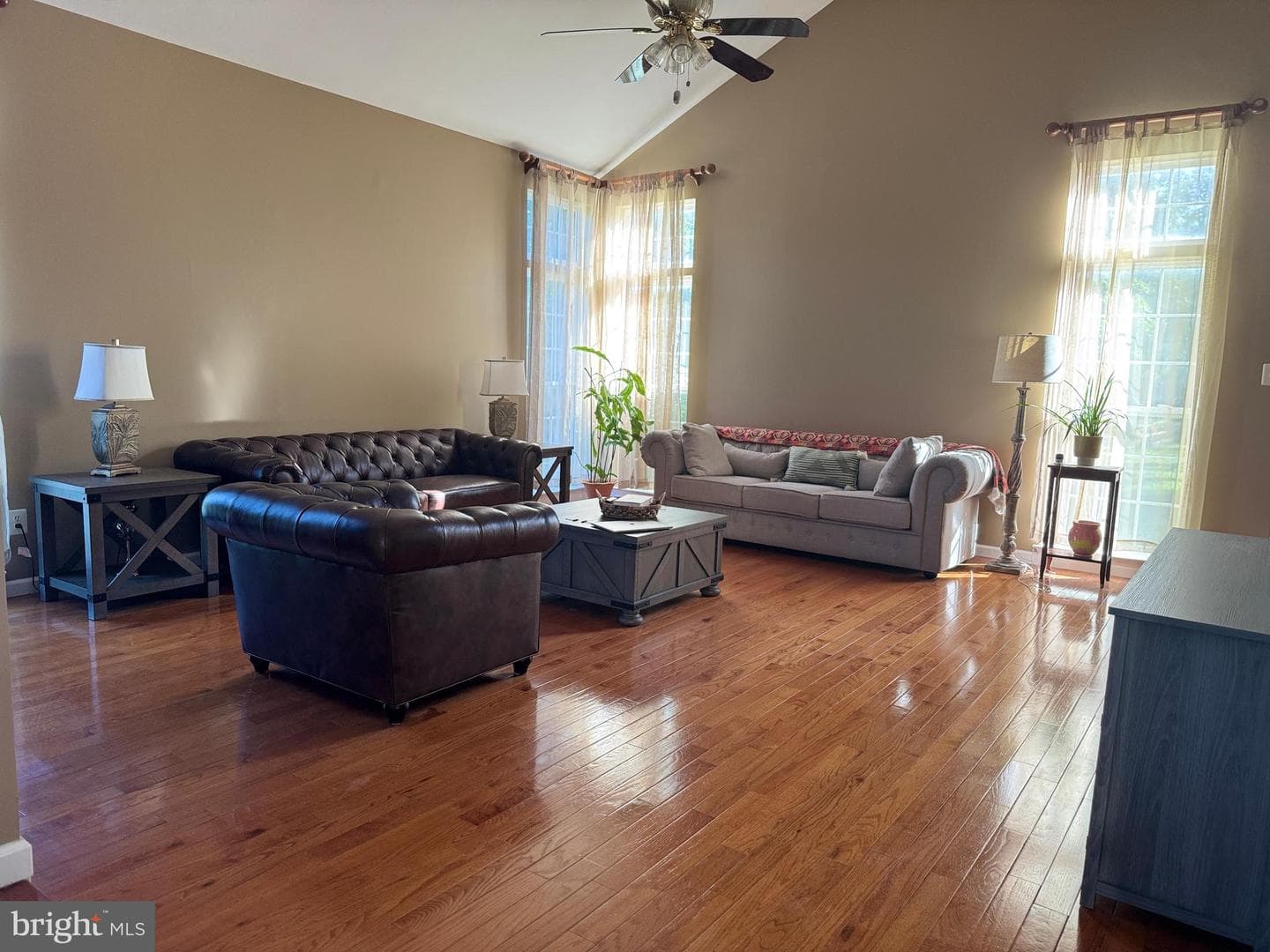23601 White Peach Court photo 13