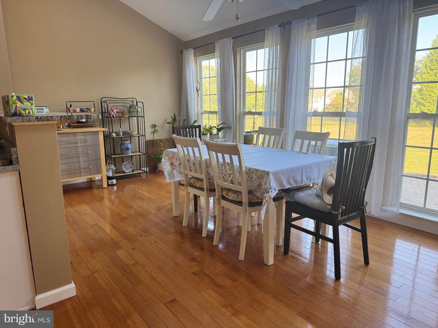 23601 White Peach Court photo 18