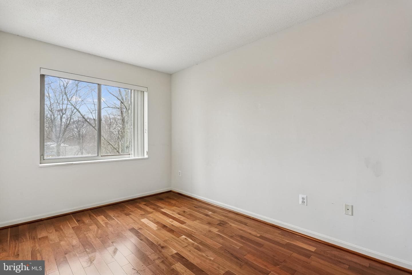 2901 S Leisure World Boulevard #225 photo 15