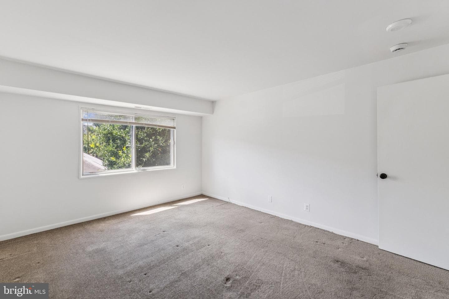 12001 Old Columbia Pike #209 photo 16