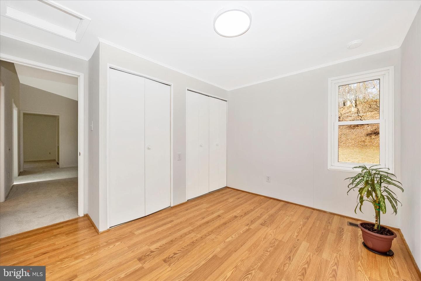 14 Cherry Grove photo 38